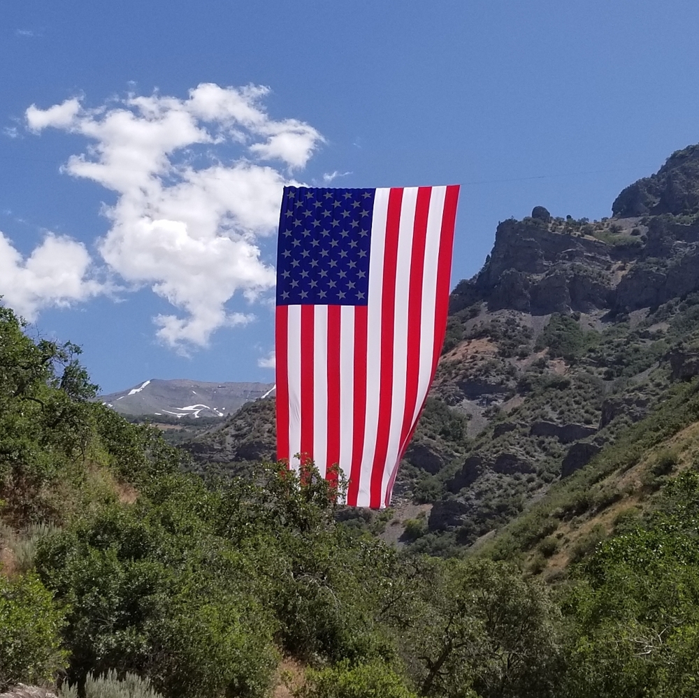 Let freedom ring! - Picture 4 of 4
